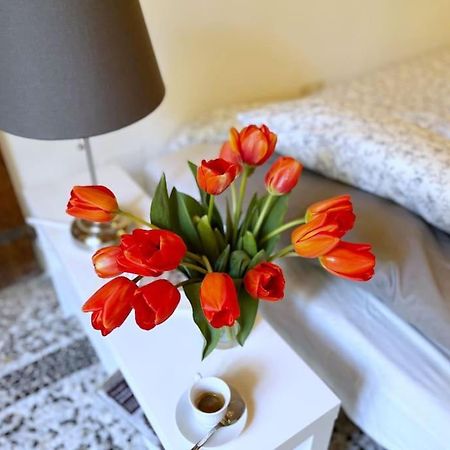 Il Canto De' Cenci Apartment Arezzo Zewnętrze zdjęcie