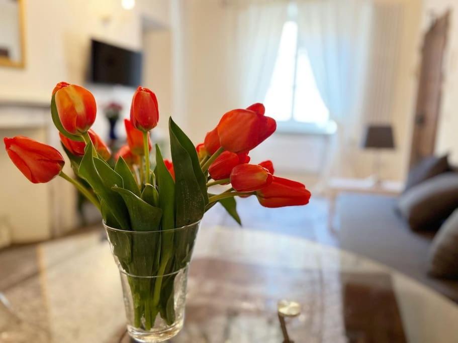 Il Canto De' Cenci Apartment Arezzo Zewnętrze zdjęcie