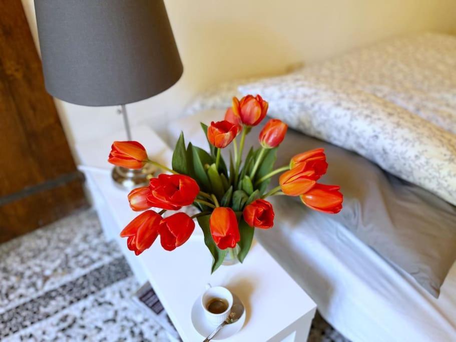 Il Canto De' Cenci Apartment Arezzo Zewnętrze zdjęcie