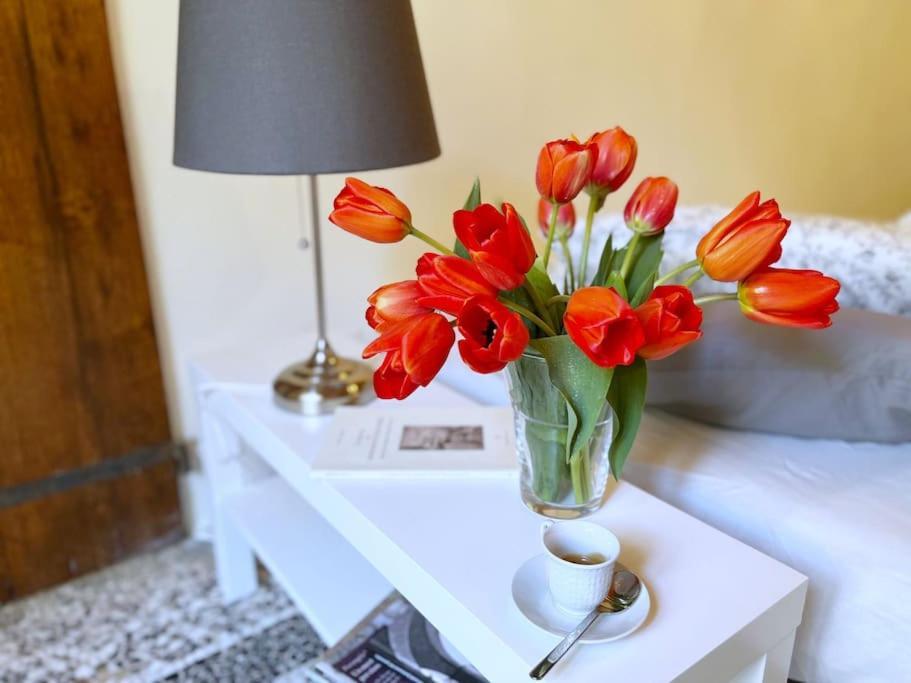 Il Canto De' Cenci Apartment Arezzo Zewnętrze zdjęcie