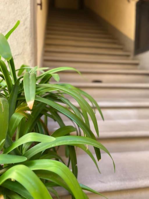 Il Canto De' Cenci Apartment Arezzo Zewnętrze zdjęcie