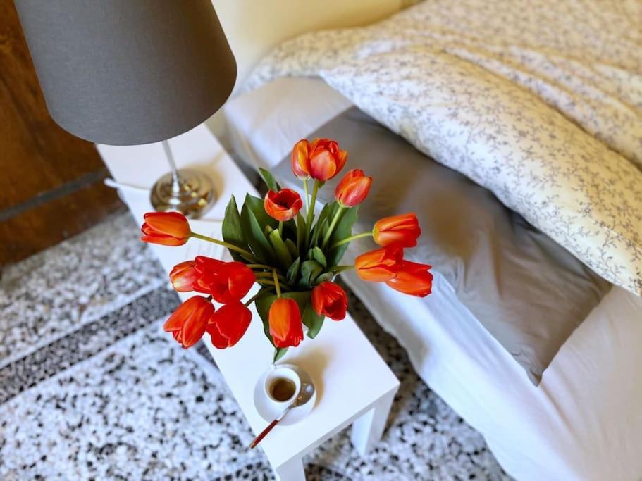 Il Canto De' Cenci Apartment Arezzo Zewnętrze zdjęcie