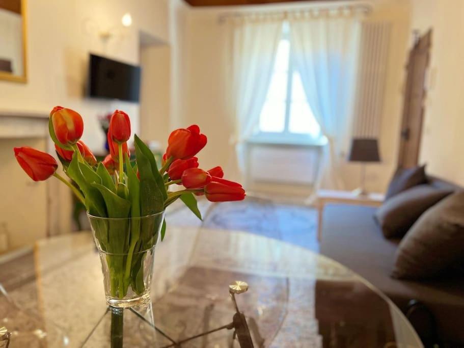 Il Canto De' Cenci Apartment Arezzo Zewnętrze zdjęcie