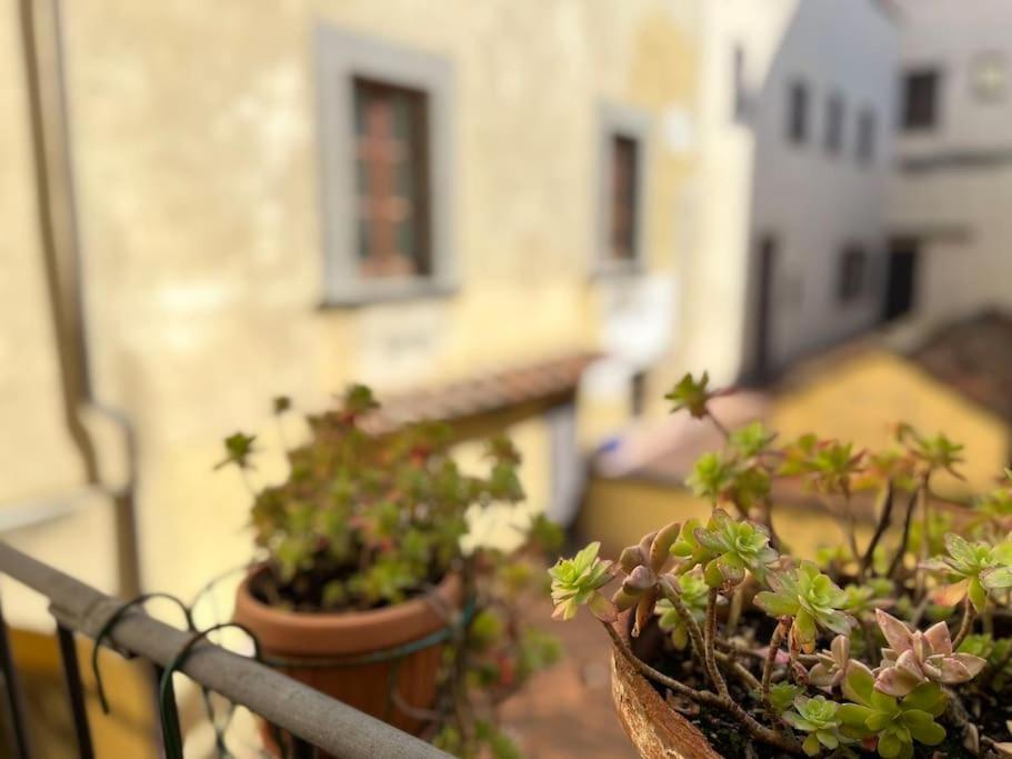 Il Canto De' Cenci Apartment Arezzo Zewnętrze zdjęcie