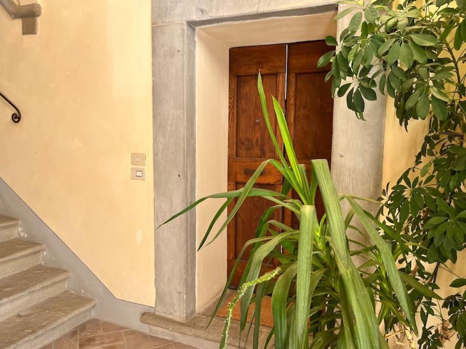 Il Canto De' Cenci Apartment Arezzo Zewnętrze zdjęcie